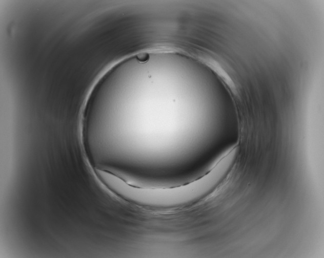 X0000093491484200711091635