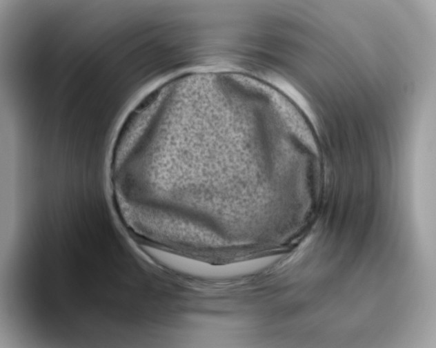 X0000093491485200711091635