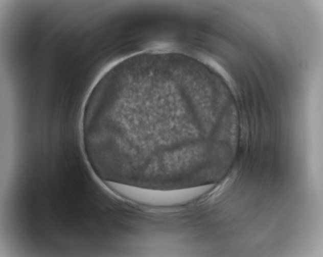 X0000093491487200711091635