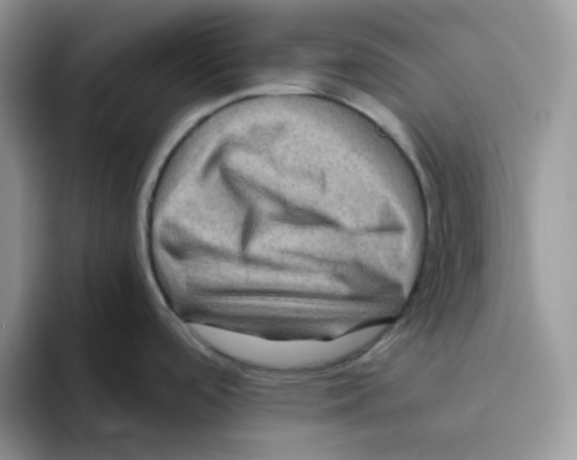 X0000093491488200711091635