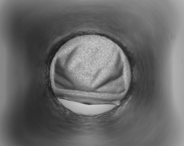 X0000093491494200711091635