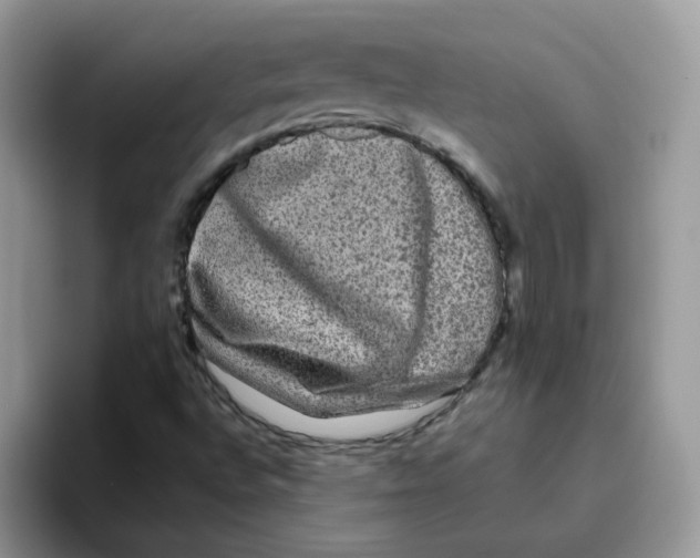 X0000093491496200711091635