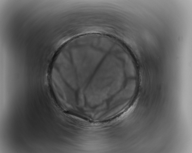 X0000093491497200711091635