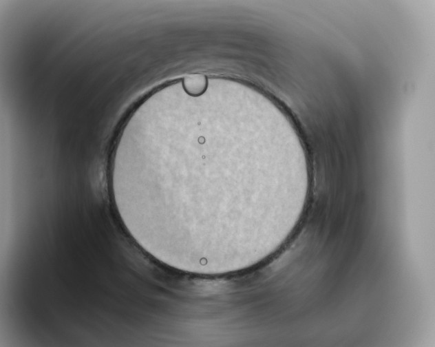 X0000093491498200711091635