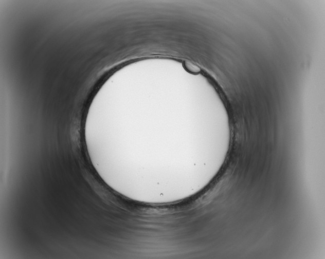 X0000093491499200711091635