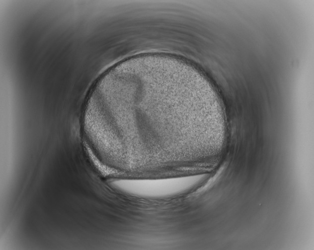 X0000093491505200711091635