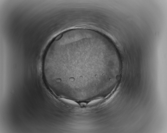 X0000093491506200711091635