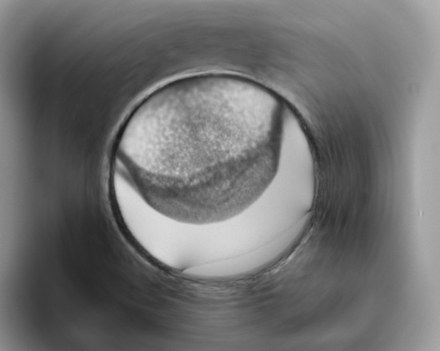 X0000093491508200711091635