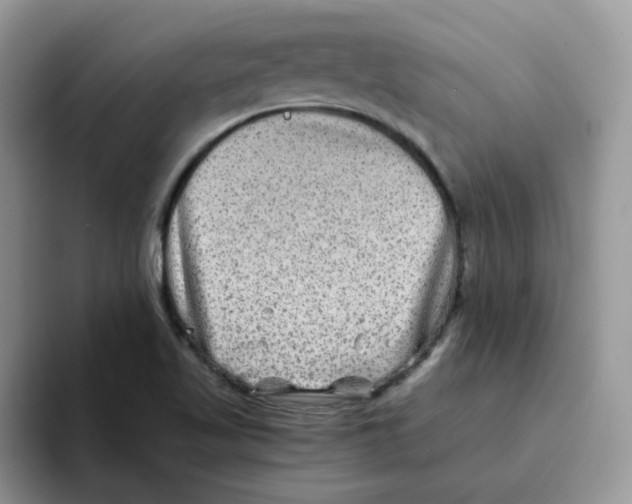 X0000093491509200711091635