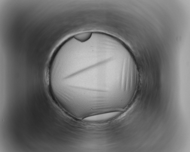 X0000093491510200711091635