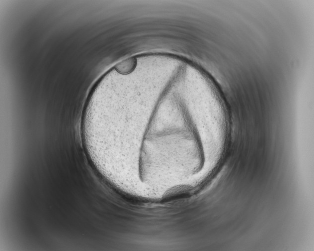 X0000093491513200711091635