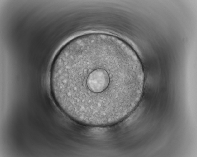 X0000093491514200711091635