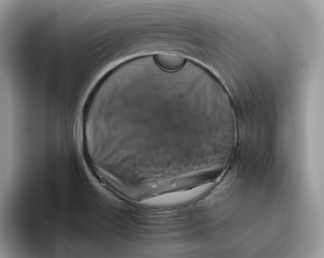 X0000093491515200711091635