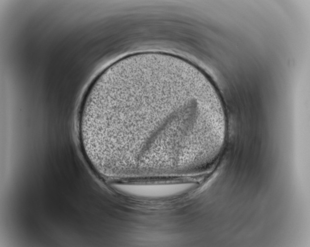 X0000093491517200711091635