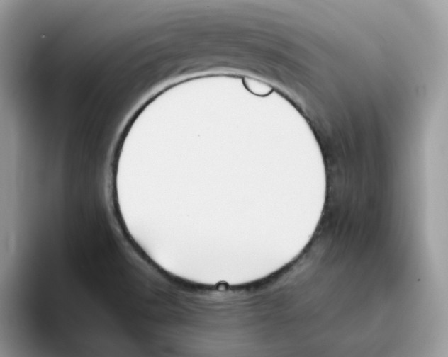 X0000093491518200711091635