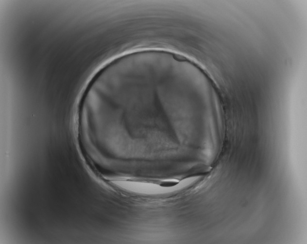 X0000093491519200711091635