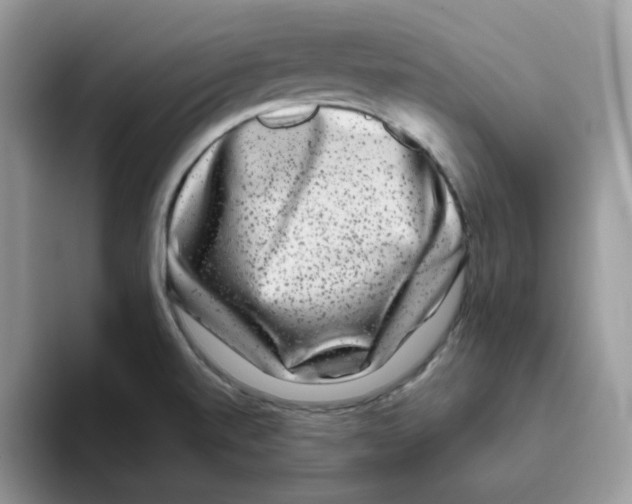 X0000093491520200711091635