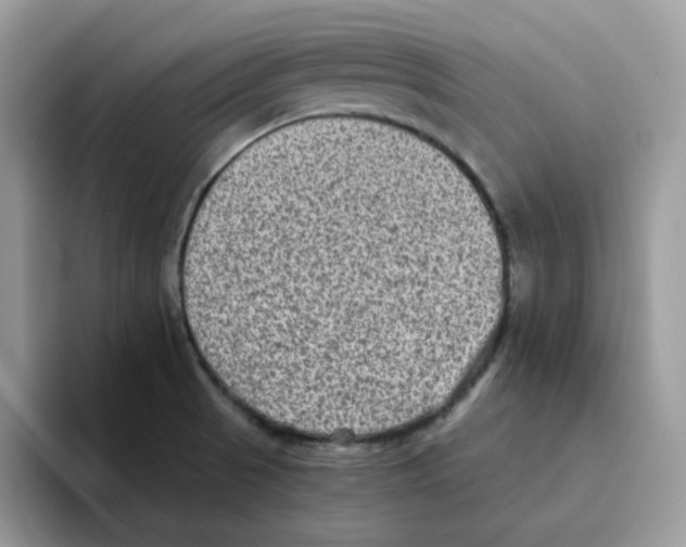 X0000093491521200711091635