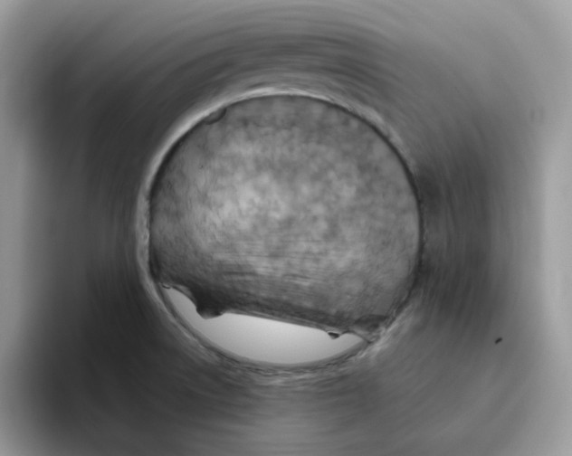 X0000093491522200711091635