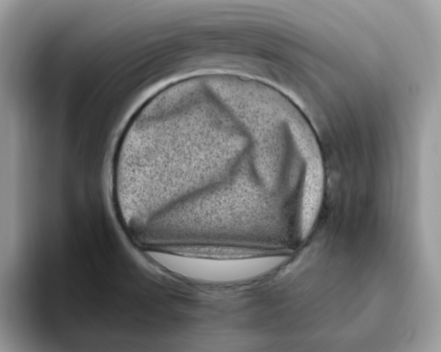 X0000093491523200711091635