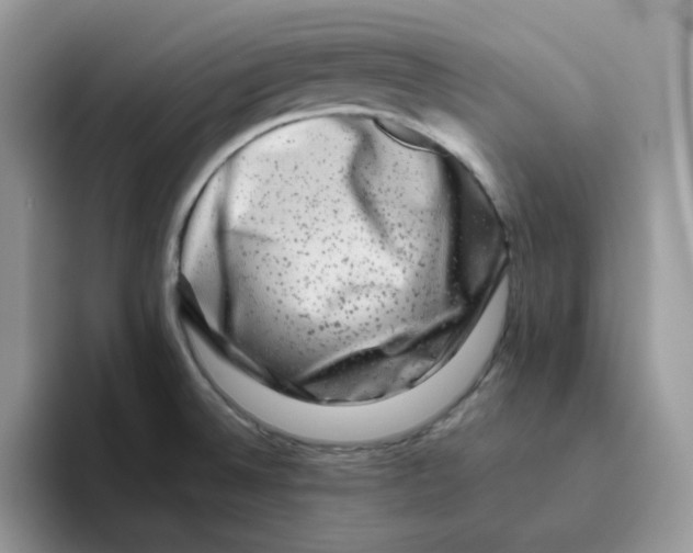 X0000093491524200711091635