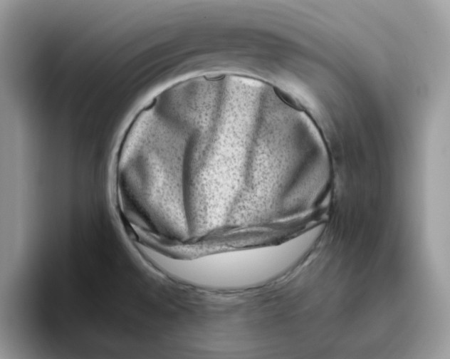 X0000093491528200711091635