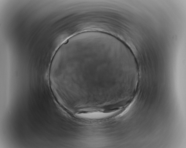 X0000093491529200711091635