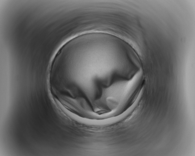 X0000093491530200711091635