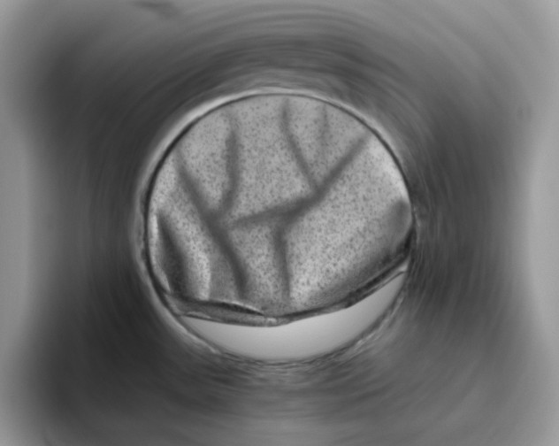 X0000093491531200711091635