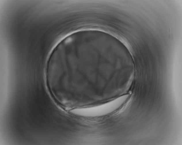 X0000093491533200711091635