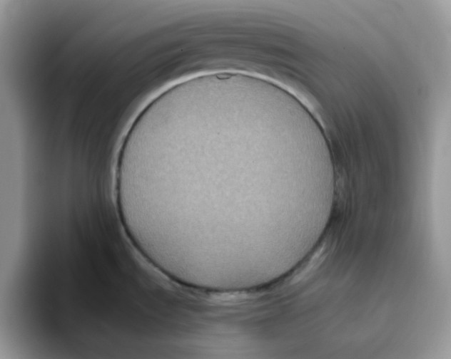 X0000093491535200711091635