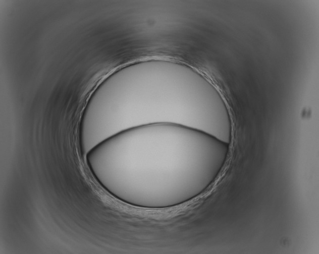 X0000093500001200710121052