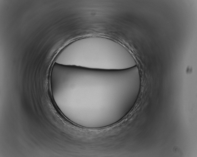 X0000093500002200710121052