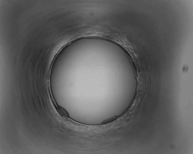 X0000093500003200710121052