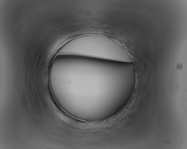 X0000093500005200710121052