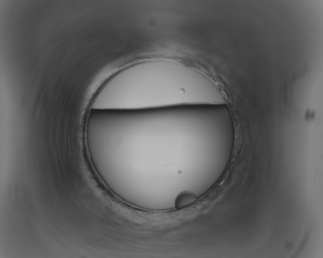 X0000093500006200710121052