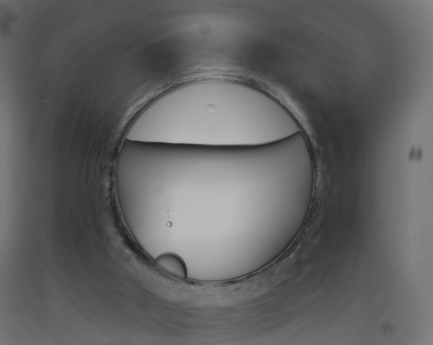 X0000093500010200710121052