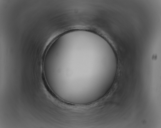 X0000093500011200710121052