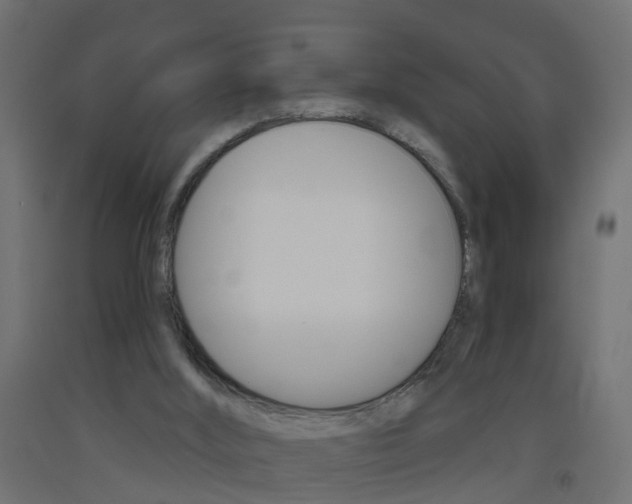 X0000093500012200710121052