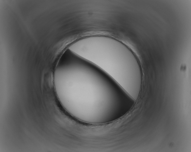 X0000093500013200710121052