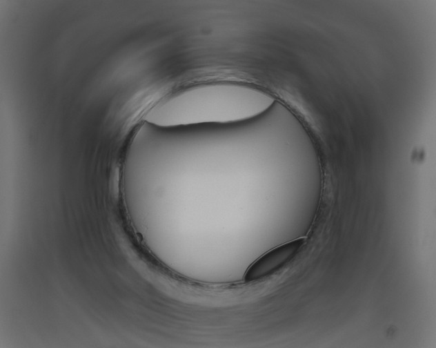 X0000093500014200710121052