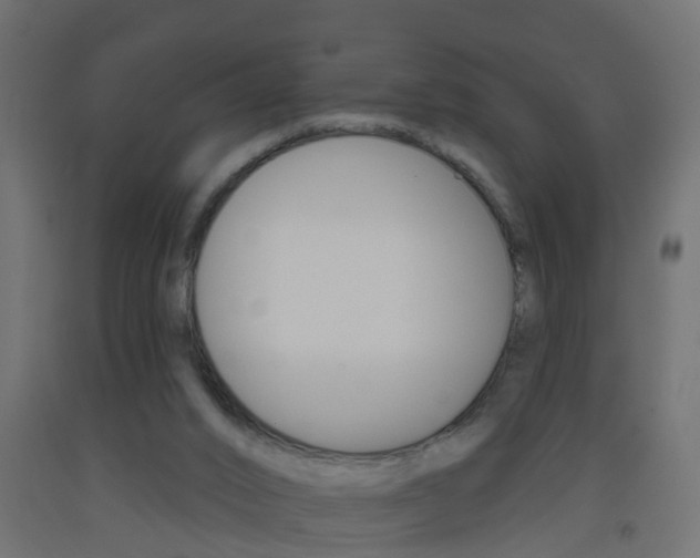 X0000093500016200710121052