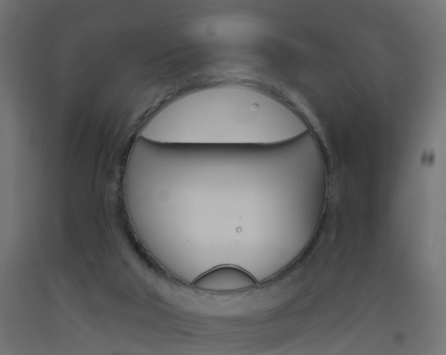 X0000093500018200710121052