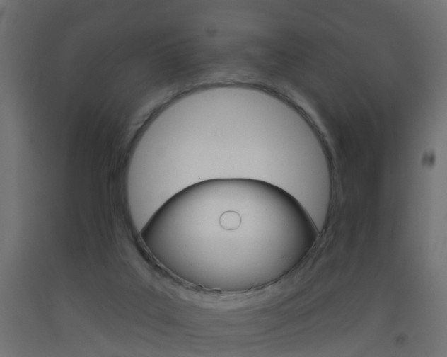 X0000093500019200710121052