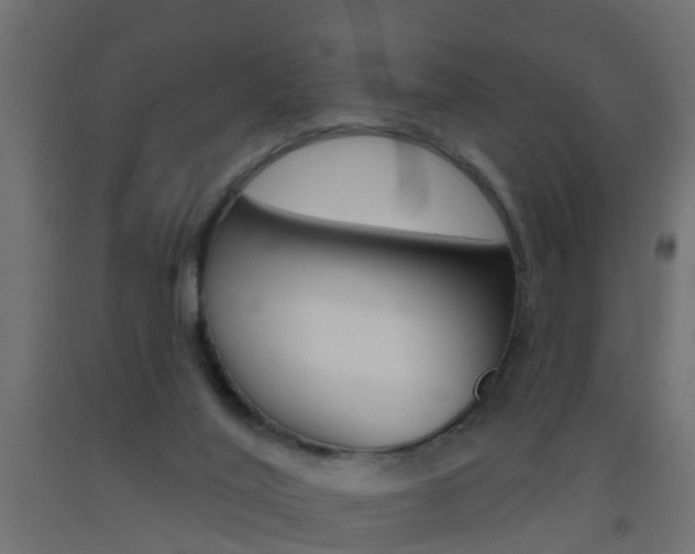 X0000093500020200710121052