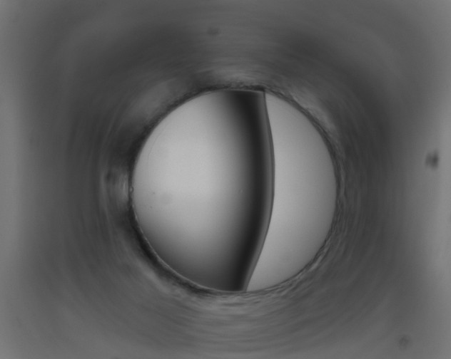 X0000093500021200710121052