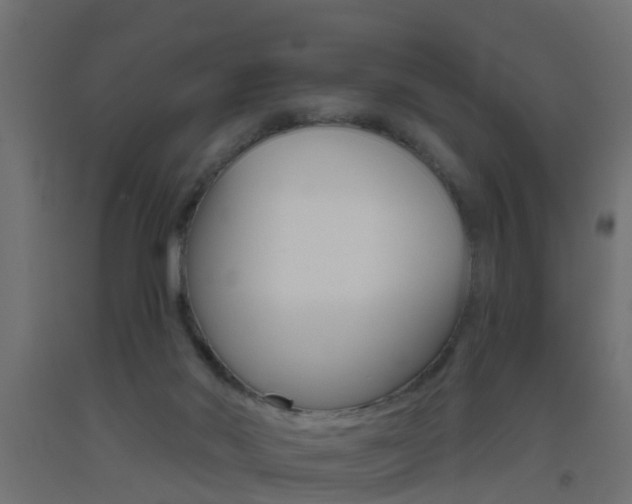 X0000093500022200710121052