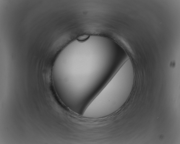 X0000093500023200710121052