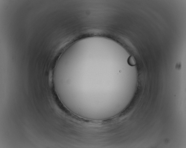 X0000093500024200710121052