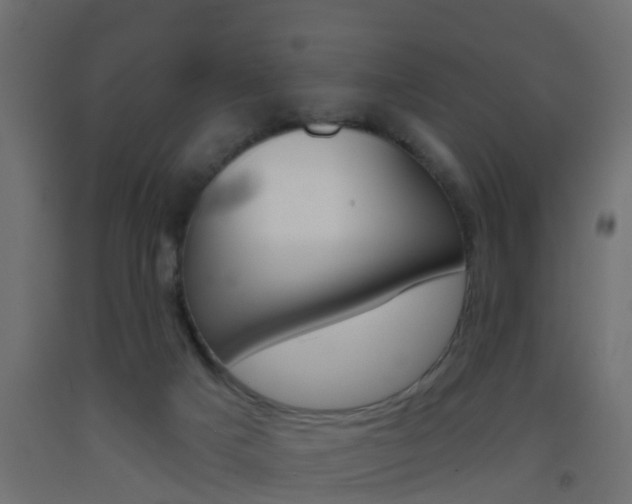 X0000093500025200710121052